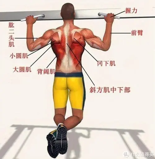 网球拍单人有什么作用吗_